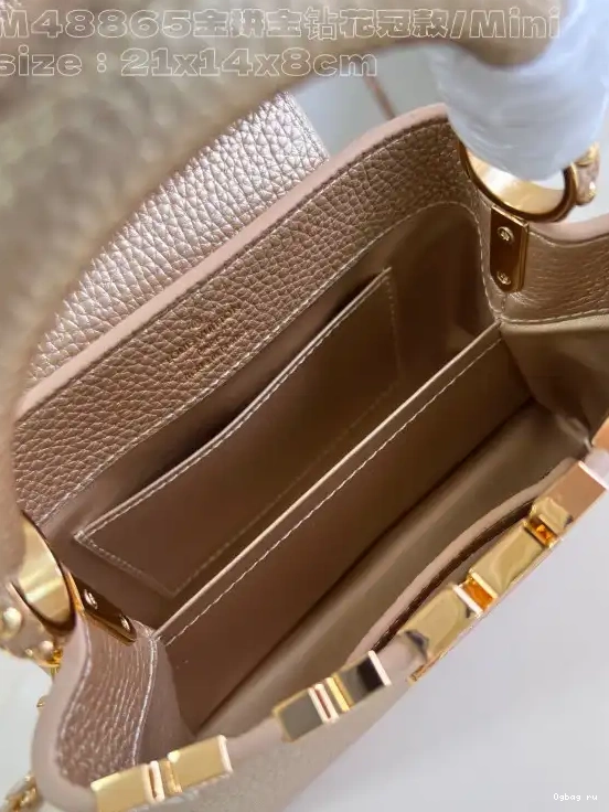 MINI-21*14*8CM VUITTON CAPUCINES LOUIS 0420